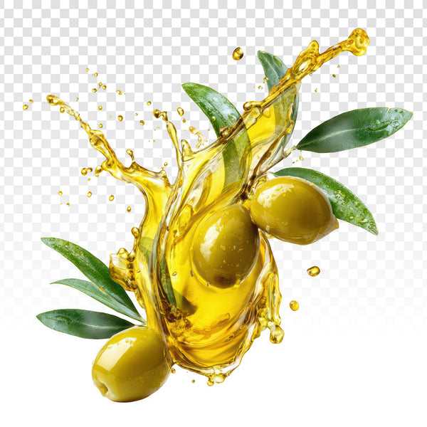Olive Oil